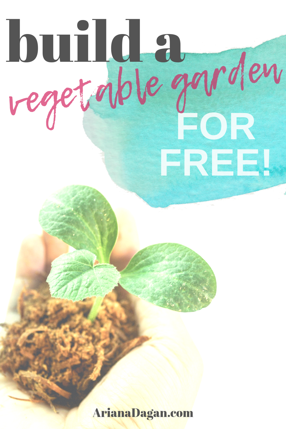 Build a Vegetable Garden for Free by Ariana Dagan