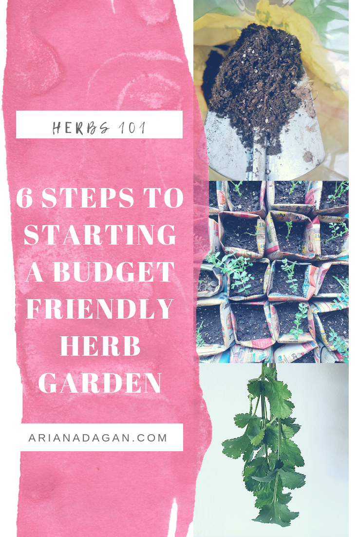 How to Start a Budget Friendly Herb Garden by Ariana Dagan