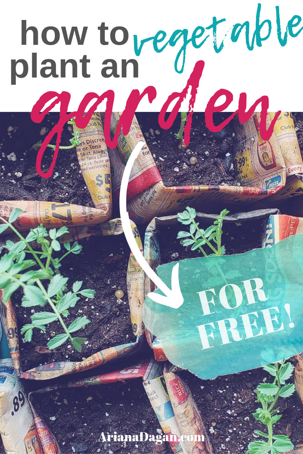 Build a Vegetable Garden for Free by Ariana Dagan